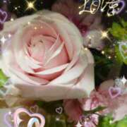 ヒメ日記 2025/04/01 06:39 投稿 徳川(とくがわ) 熟女の風俗最終章 大宮店