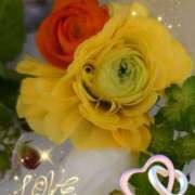 ヒメ日記 2025/04/04 06:29 投稿 徳川(とくがわ) 熟女の風俗最終章 大宮店