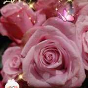 ヒメ日記 2025/04/17 06:25 投稿 徳川(とくがわ) 熟女の風俗最終章 大宮店