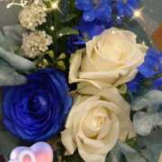 ヒメ日記 2025/04/18 05:55 投稿 徳川(とくがわ) 熟女の風俗最終章 大宮店