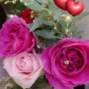 ヒメ日記 2025/04/19 05:55 投稿 徳川(とくがわ) 熟女の風俗最終章 大宮店