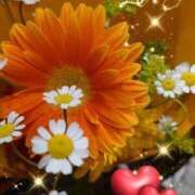 ヒメ日記 2025/04/25 07:45 投稿 徳川(とくがわ) 熟女の風俗最終章 大宮店