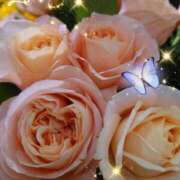 ヒメ日記 2025/04/27 06:45 投稿 徳川(とくがわ) 熟女の風俗最終章 大宮店