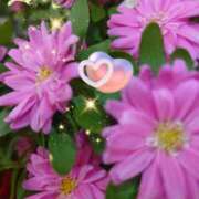 ヒメ日記 2025/05/08 06:55 投稿 徳川(とくがわ) 熟女の風俗最終章 大宮店