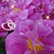 ヒメ日記 2025/05/10 06:55 投稿 徳川(とくがわ) 熟女の風俗最終章 大宮店