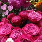 ヒメ日記 2025/05/11 07:05 投稿 徳川(とくがわ) 熟女の風俗最終章 大宮店