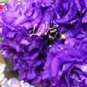 ヒメ日記 2025/05/12 06:45 投稿 徳川(とくがわ) 熟女の風俗最終章 大宮店