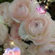 ヒメ日記 2025/05/17 06:37 投稿 徳川(とくがわ) 熟女の風俗最終章 大宮店