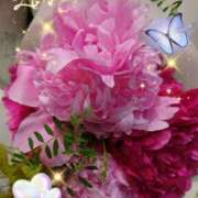 ヒメ日記 2025/05/17 17:27 投稿 徳川(とくがわ) 熟女の風俗最終章 大宮店