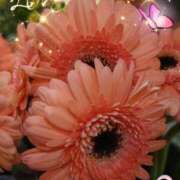 ヒメ日記 2025/05/22 06:45 投稿 徳川(とくがわ) 熟女の風俗最終章 大宮店