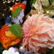 ヒメ日記 2025/05/26 06:45 投稿 徳川(とくがわ) 熟女の風俗最終章 大宮店