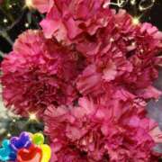 ヒメ日記 2025/05/26 06:59 投稿 徳川(とくがわ) 熟女の風俗最終章 大宮店