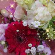 ヒメ日記 2025/05/26 07:05 投稿 徳川(とくがわ) 熟女の風俗最終章 大宮店