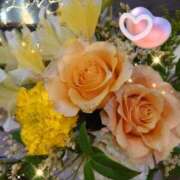 ヒメ日記 2025/06/07 06:45 投稿 徳川(とくがわ) 熟女の風俗最終章 大宮店