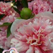 ヒメ日記 2025/06/07 06:54 投稿 徳川(とくがわ) 熟女の風俗最終章 大宮店