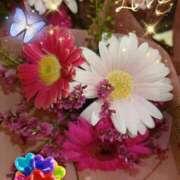 ヒメ日記 2025/06/11 05:35 投稿 徳川(とくがわ) 熟女の風俗最終章 大宮店