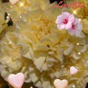 ヒメ日記 2025/06/13 06:35 投稿 徳川(とくがわ) 熟女の風俗最終章 大宮店