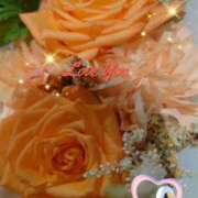 ヒメ日記 2025/06/16 06:45 投稿 徳川(とくがわ) 熟女の風俗最終章 大宮店