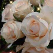 ヒメ日記 2025/06/16 07:05 投稿 徳川(とくがわ) 熟女の風俗最終章 大宮店