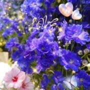 ヒメ日記 2025/06/21 06:15 投稿 徳川(とくがわ) 熟女の風俗最終章 大宮店