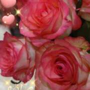 ヒメ日記 2025/06/21 06:35 投稿 徳川(とくがわ) 熟女の風俗最終章 大宮店