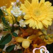 ヒメ日記 2025/06/26 06:25 投稿 徳川(とくがわ) 熟女の風俗最終章 大宮店