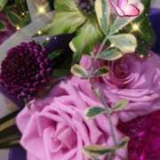 ヒメ日記 2025/06/27 06:38 投稿 徳川(とくがわ) 熟女の風俗最終章 大宮店