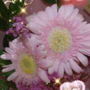 ヒメ日記 2025/06/28 07:05 投稿 徳川(とくがわ) 熟女の風俗最終章 大宮店