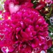 ヒメ日記 2025/06/30 06:35 投稿 徳川(とくがわ) 熟女の風俗最終章 大宮店