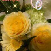 ヒメ日記 2025/07/04 05:35 投稿 徳川(とくがわ) 熟女の風俗最終章 大宮店