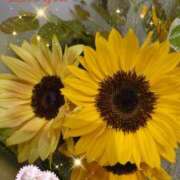 ヒメ日記 2025/07/05 05:55 投稿 徳川(とくがわ) 熟女の風俗最終章 大宮店