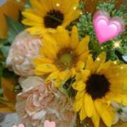 ヒメ日記 2025/07/12 06:56 投稿 徳川(とくがわ) 熟女の風俗最終章 大宮店