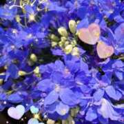 ヒメ日記 2025/07/14 06:35 投稿 徳川(とくがわ) 熟女の風俗最終章 大宮店