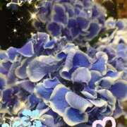 ヒメ日記 2025/07/16 08:49 投稿 徳川(とくがわ) 熟女の風俗最終章 大宮店