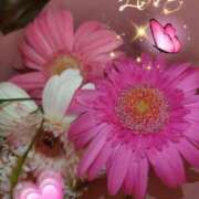 ヒメ日記 2025/07/16 09:07 投稿 徳川(とくがわ) 熟女の風俗最終章 大宮店