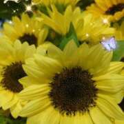 ヒメ日記 2025/07/17 06:05 投稿 徳川(とくがわ) 熟女の風俗最終章 大宮店