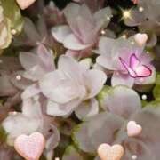 ヒメ日記 2025/07/21 06:05 投稿 徳川(とくがわ) 熟女の風俗最終章 大宮店