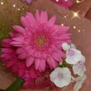 ヒメ日記 2025/08/02 07:45 投稿 徳川(とくがわ) 熟女の風俗最終章 大宮店