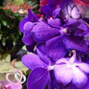 ヒメ日記 2025/08/03 06:35 投稿 徳川(とくがわ) 熟女の風俗最終章 大宮店