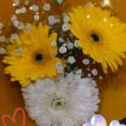 ヒメ日記 2025/08/05 08:29 投稿 徳川(とくがわ) 熟女の風俗最終章 大宮店