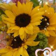 ヒメ日記 2025/08/06 06:35 投稿 徳川(とくがわ) 熟女の風俗最終章 大宮店