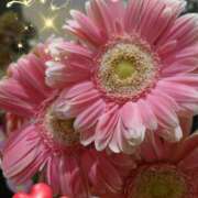 ヒメ日記 2025/08/08 06:55 投稿 徳川(とくがわ) 熟女の風俗最終章 大宮店