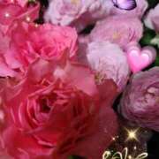 ヒメ日記 2025/08/10 06:45 投稿 徳川(とくがわ) 熟女の風俗最終章 大宮店