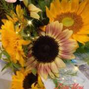 ヒメ日記 2025/08/10 06:57 投稿 徳川(とくがわ) 熟女の風俗最終章 大宮店