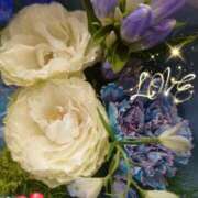 ヒメ日記 2025/08/12 05:55 投稿 徳川(とくがわ) 熟女の風俗最終章 大宮店