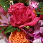 ヒメ日記 2025/08/14 07:55 投稿 徳川(とくがわ) 熟女の風俗最終章 大宮店