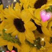 ヒメ日記 2025/08/15 06:55 投稿 徳川(とくがわ) 熟女の風俗最終章 大宮店