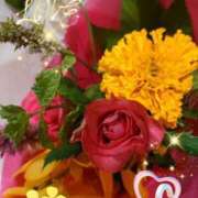 ヒメ日記 2025/08/15 07:05 投稿 徳川(とくがわ) 熟女の風俗最終章 大宮店