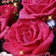 ヒメ日記 2025/08/17 06:05 投稿 徳川(とくがわ) 熟女の風俗最終章 大宮店