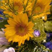 ヒメ日記 2025/08/18 07:32 投稿 徳川(とくがわ) 熟女の風俗最終章 大宮店